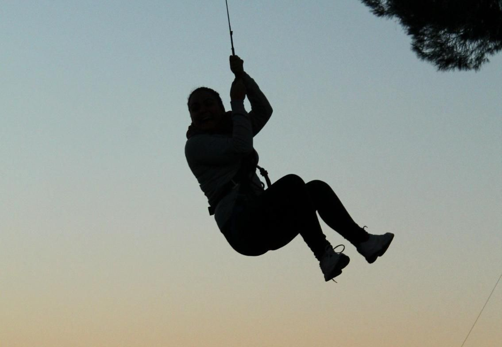 Bosque suspendido de La Juliana