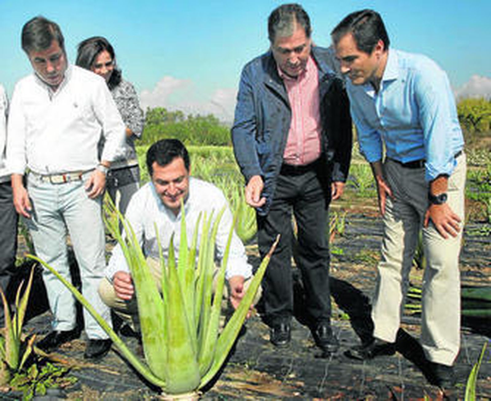 Juanma Moreno visitó el pasado jueves un plantación de aloe vera en Encinarejos.