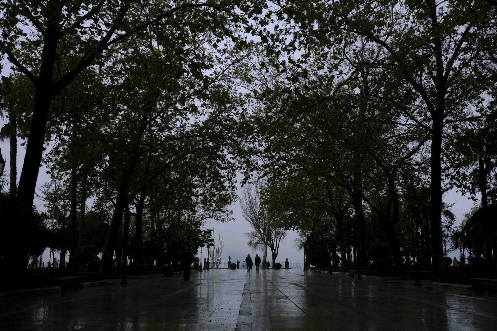 La lluvia y la niebla transforman Ronda, en fotos
