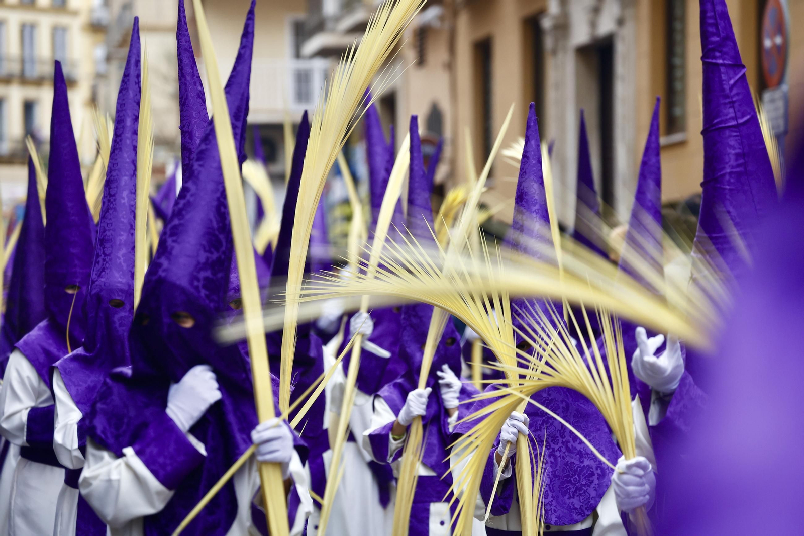 La Pollinica el Domingo de Ramos en Málaga, en imágenes