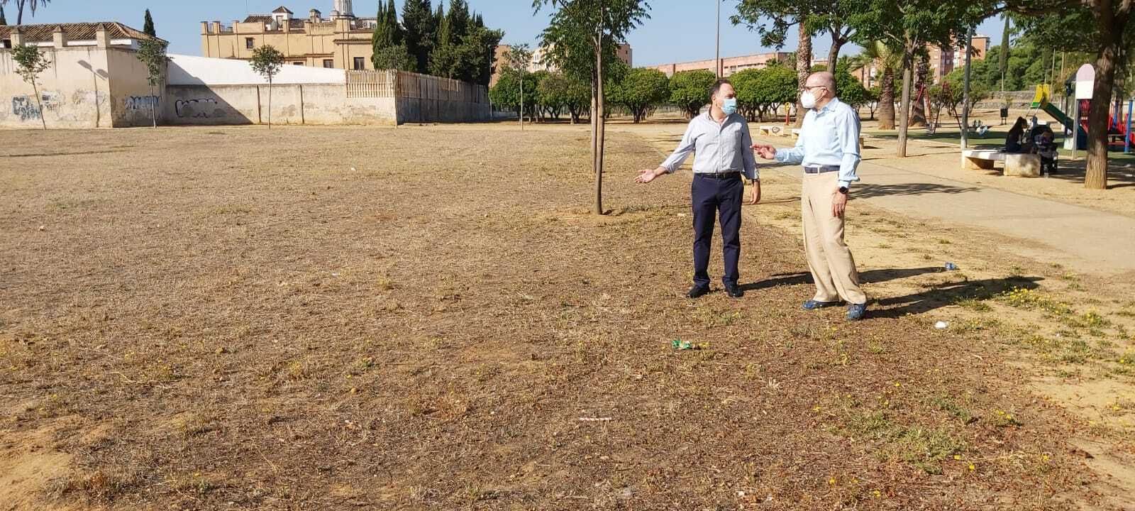 El PP denuncia la suciedad de los parques de Cerro Amate.