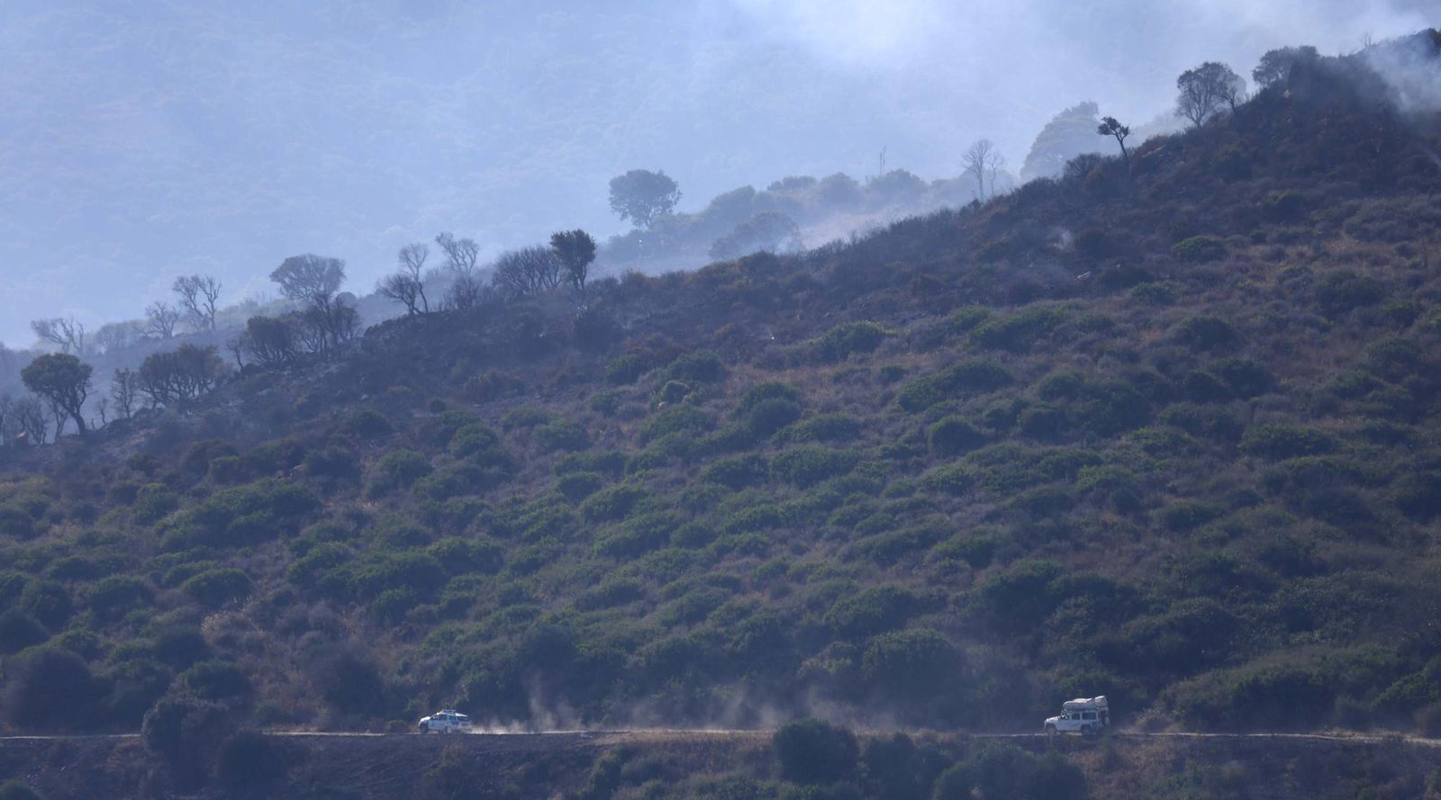 Las fotos del incendio forestal entre las Pantallas y Marchenilla, en Algeciras
