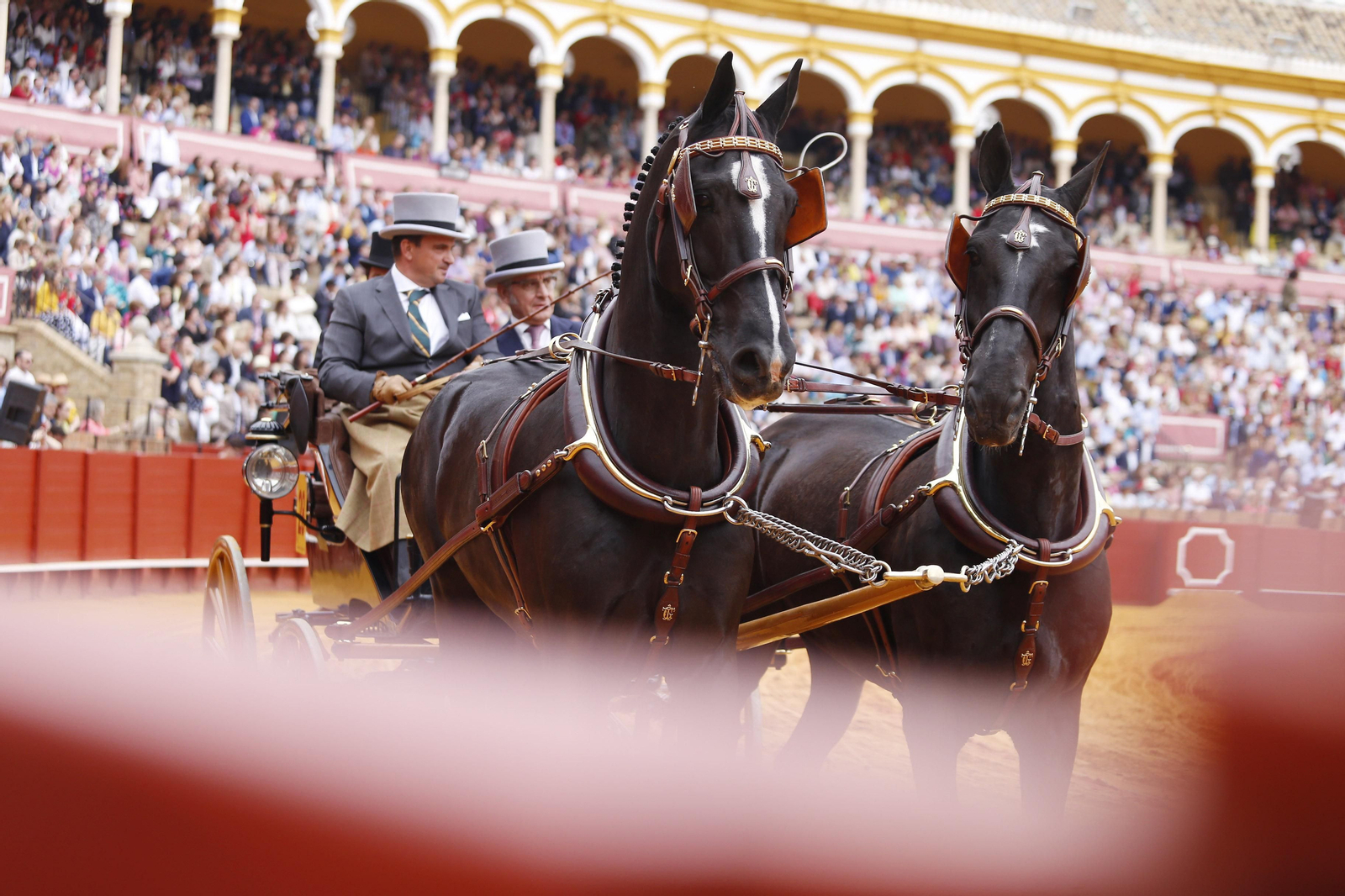 La 34º exhibición de enganches de la Feria de Sevilla en imágenes