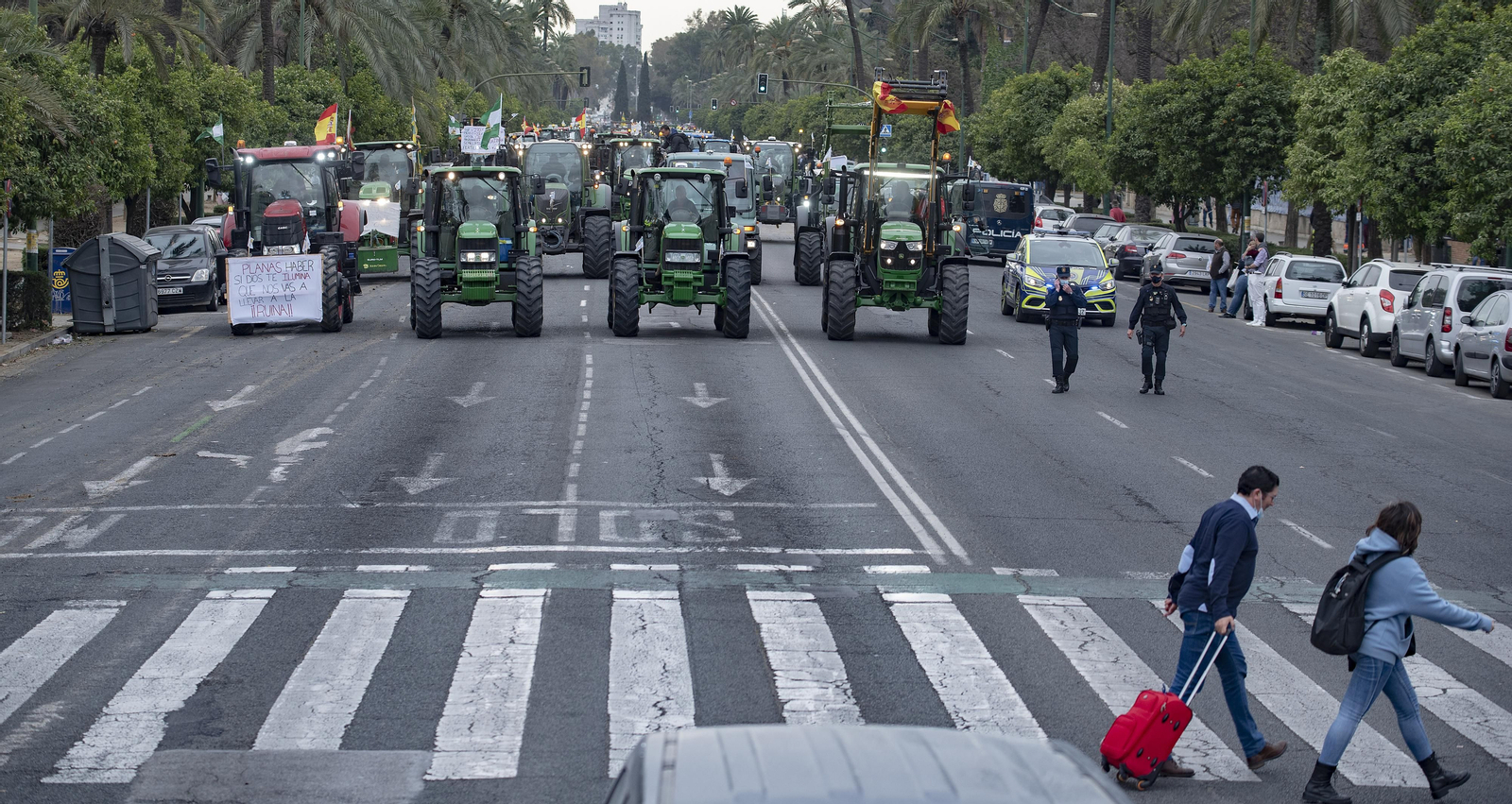 Las imágenes de la manifestación de agricultores de toda Andalucía en Sevilla