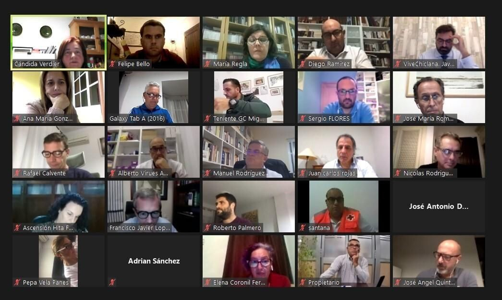 Momento del encuentro telemático celebrado esta tarde.