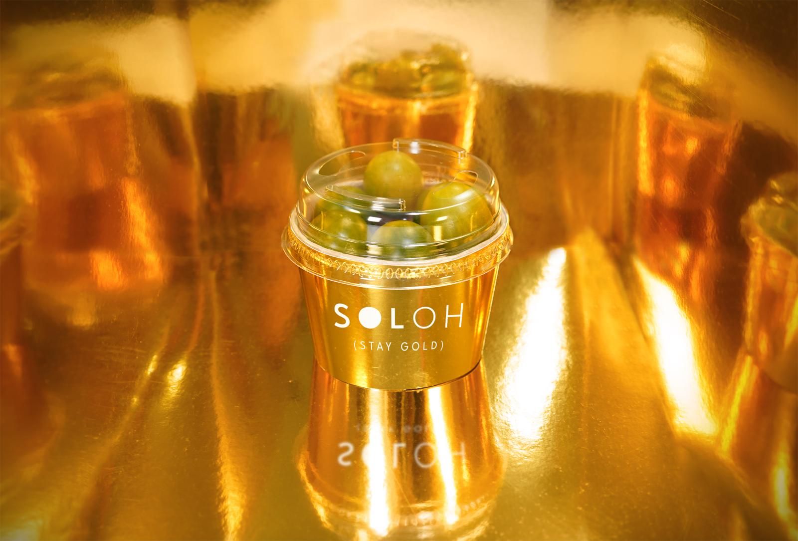 Moyca desembarca en Fruit Logistica para reforzar su compromiso con el mercado internacional.