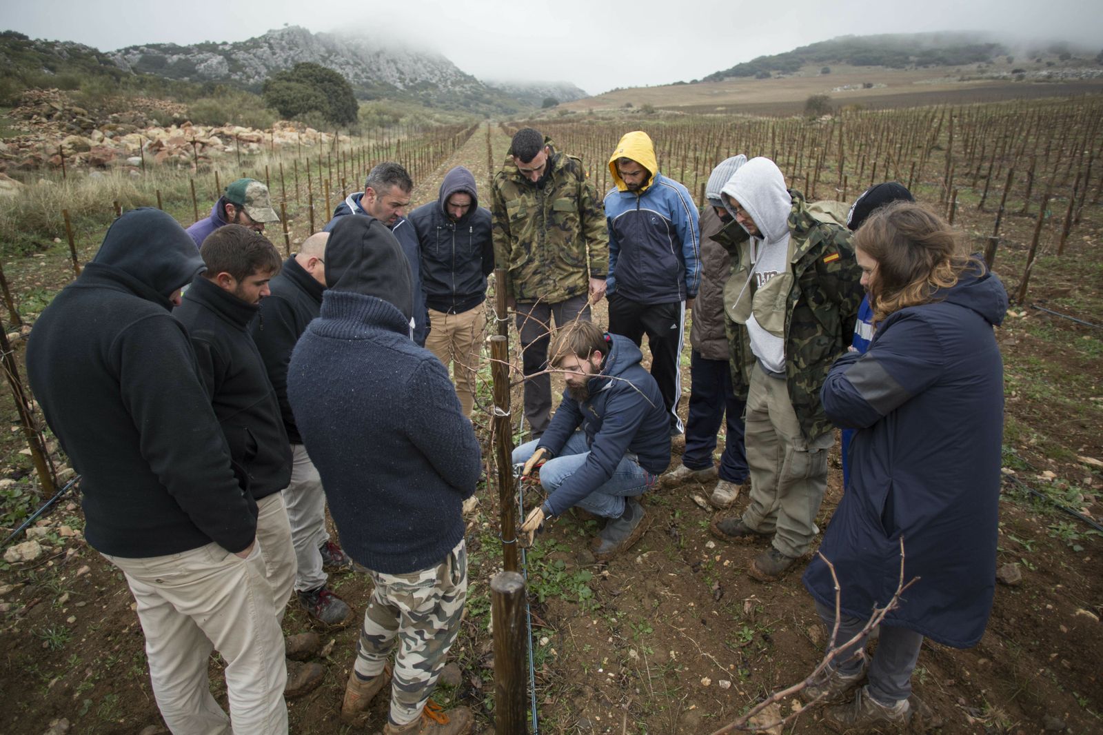 Roc Gramona durante una de las explicaciones en el viñedo