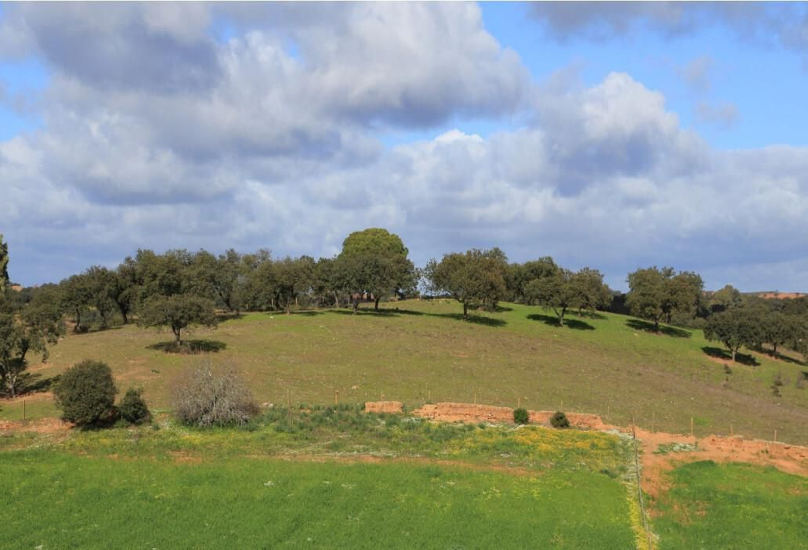 Panorámica de la Dehesa de Paymogo.