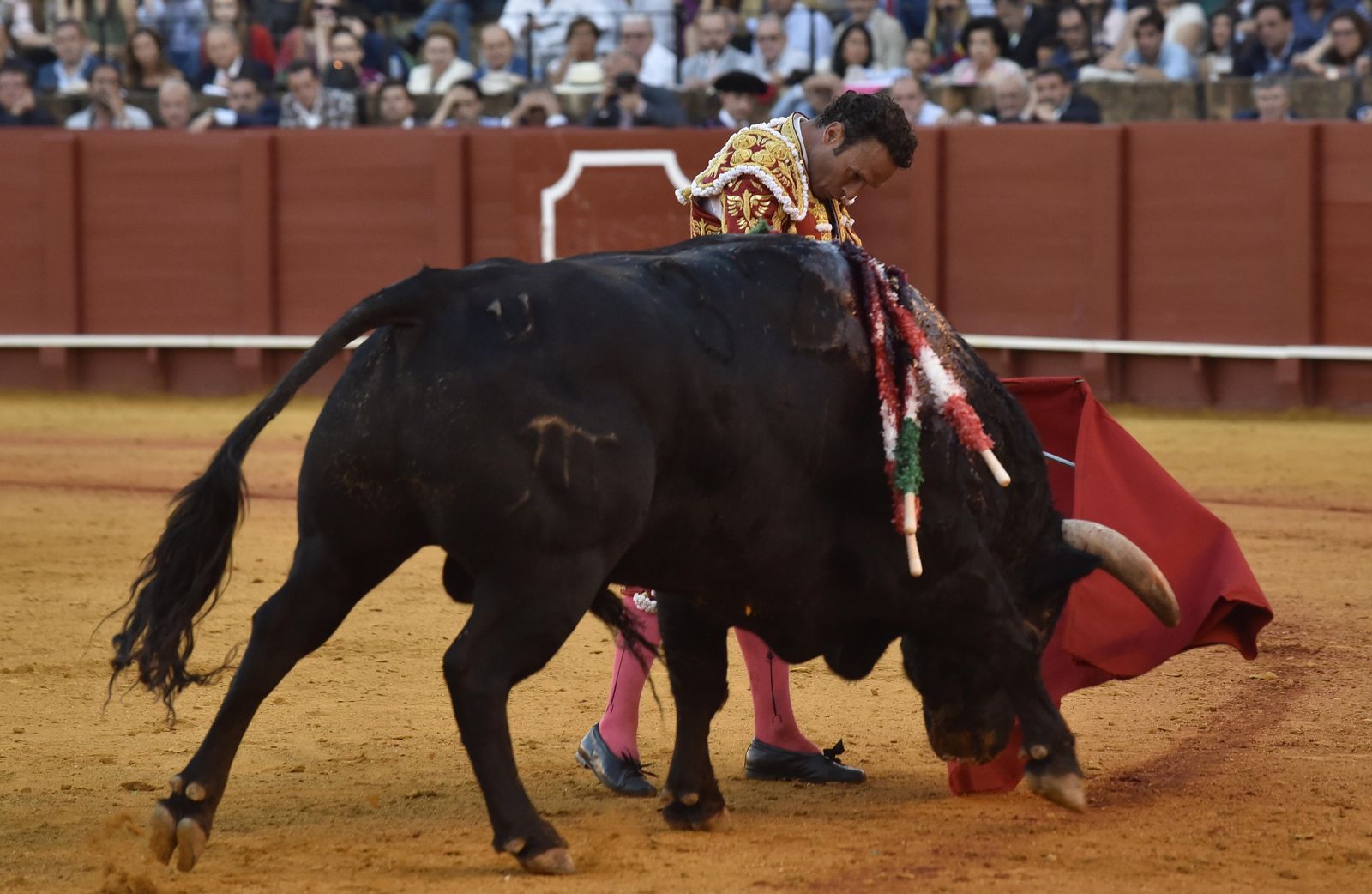 Las imágenes de la 13ª corrida de abono de La Maestranza