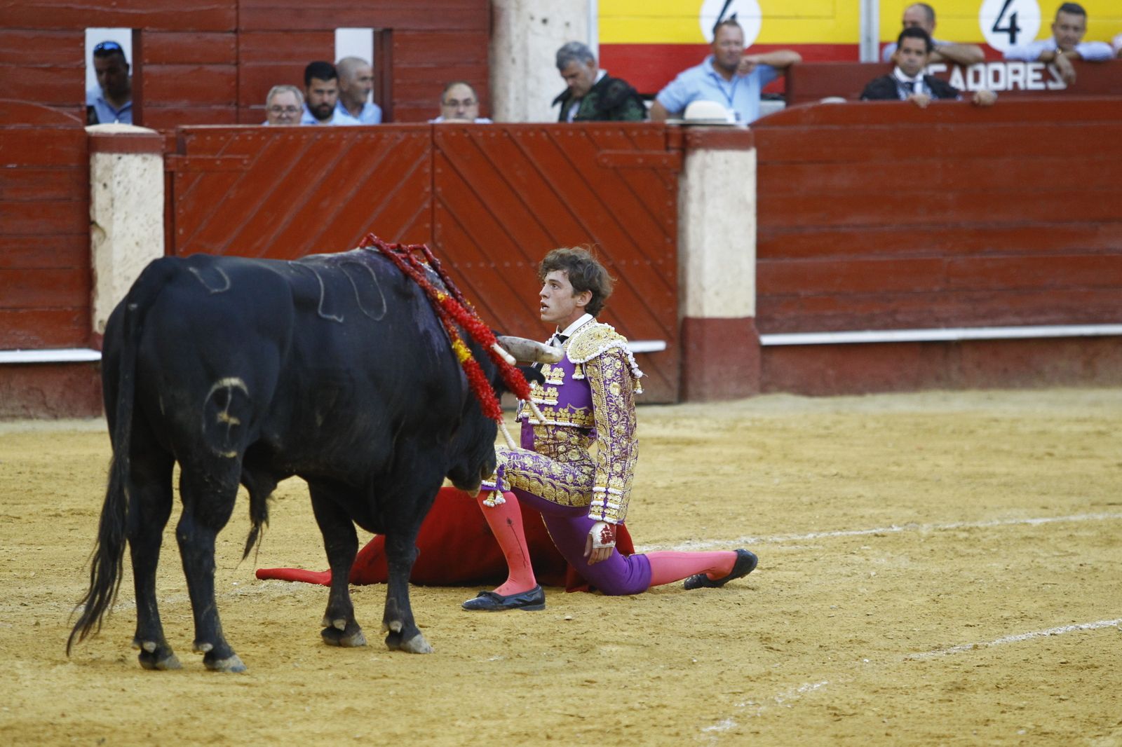Fotogalería de la novillada de la Feria Taurina de Almería 2022