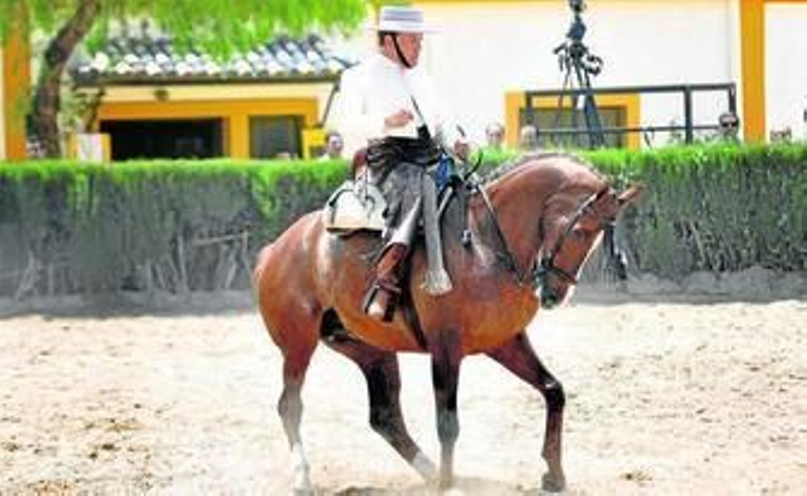 José María Cruz Márquez y su caballo 'Fado', vencedores en la Doma Vaquera