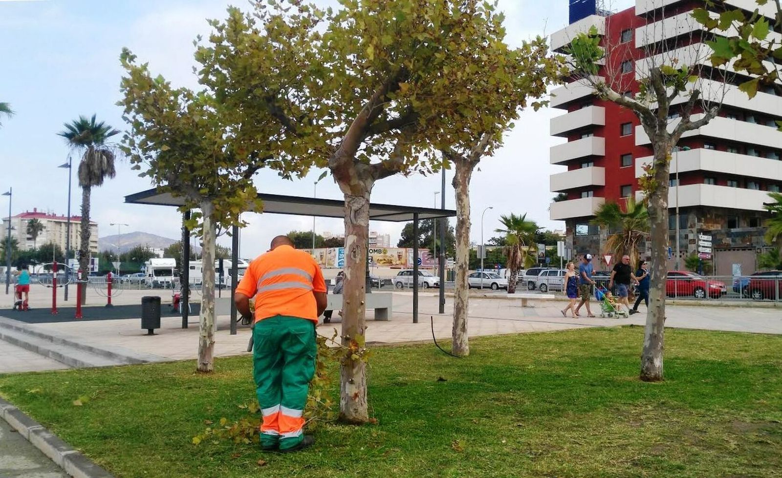 Un jardinero trabaja en un parterre.