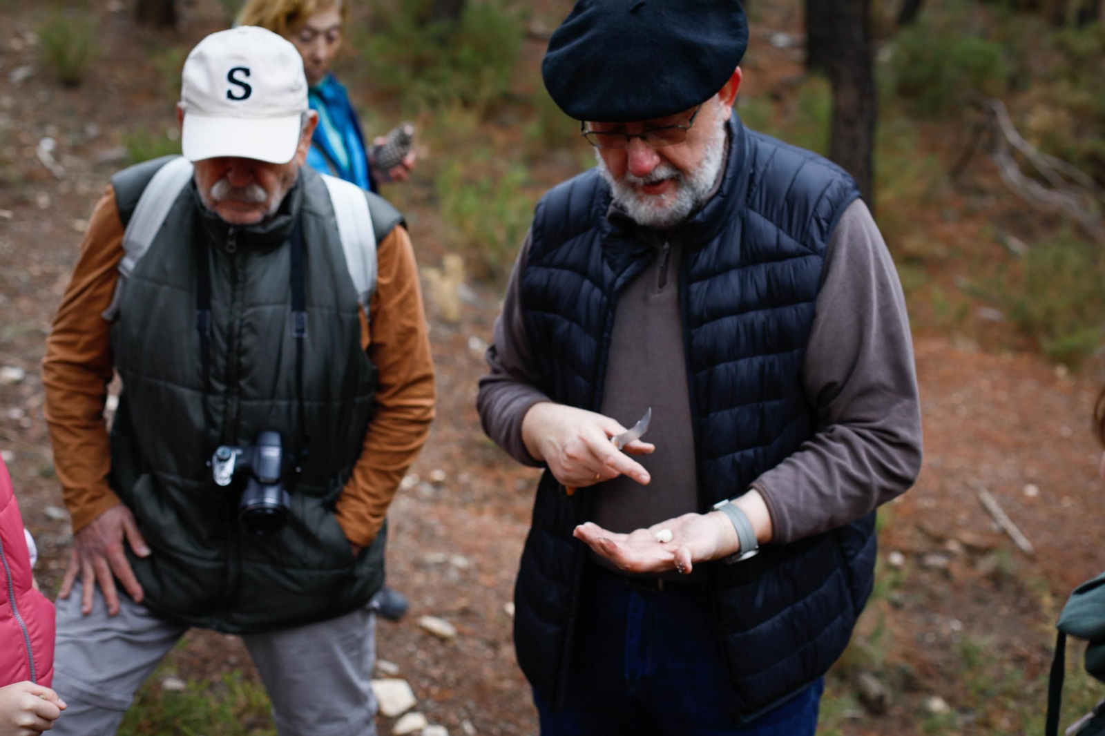 La ruta recolectora de setas en Abla por las XIX Jornadas Micológicas, en imágenes