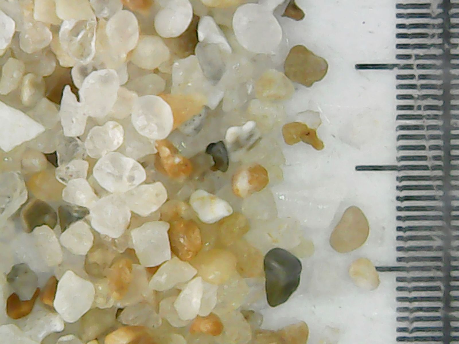 Análisis de arena para la investigación de un nuevo modelo para regeneración de las playas