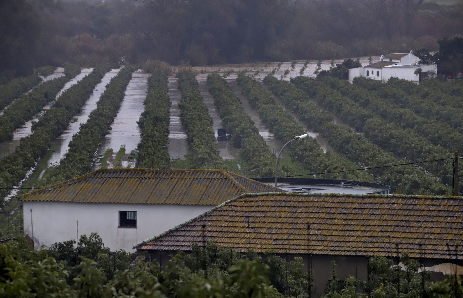 Fotos del temporal de lluvia y viento por la borrasca Kristin en Jimena de la Frontera, San Pablo de Buceite y San Martín del Tesorillo