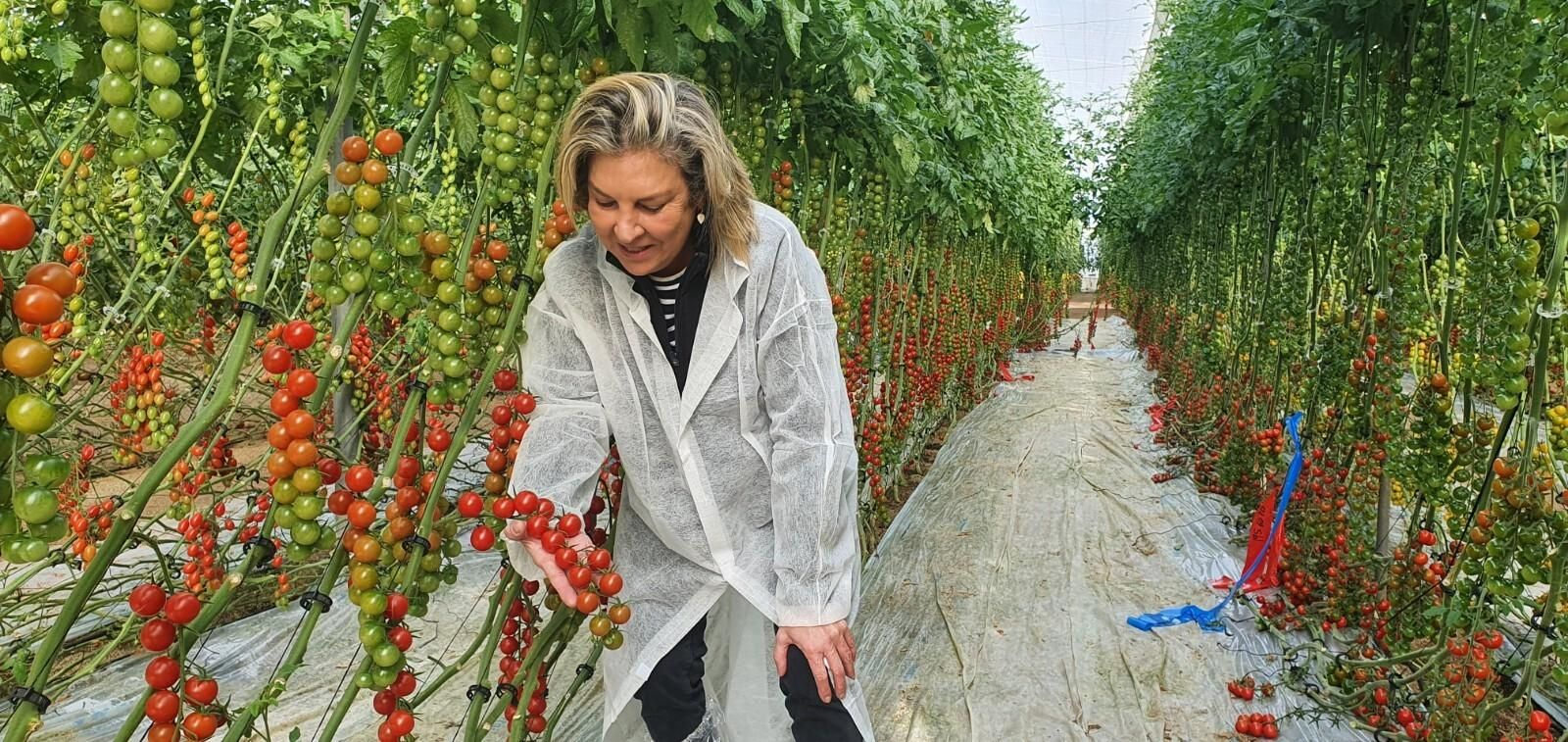 María del Mar Gimeno, delegada comercial de Rijk Zwaan en el Levante almeriense, con el nuevo cherry Engelyta RZ.