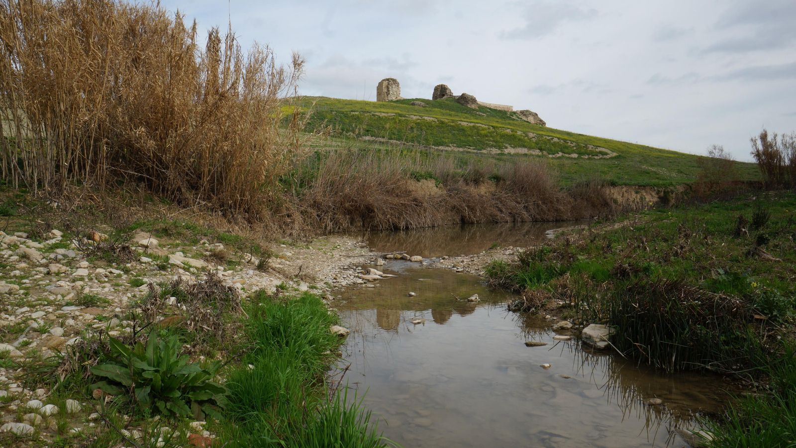 Sobre una loma en Montemayor, los restos del castillo de Dos Hermanas. Sobre una loma en Montemayor, los restos del castillo de Dos Hermanas.