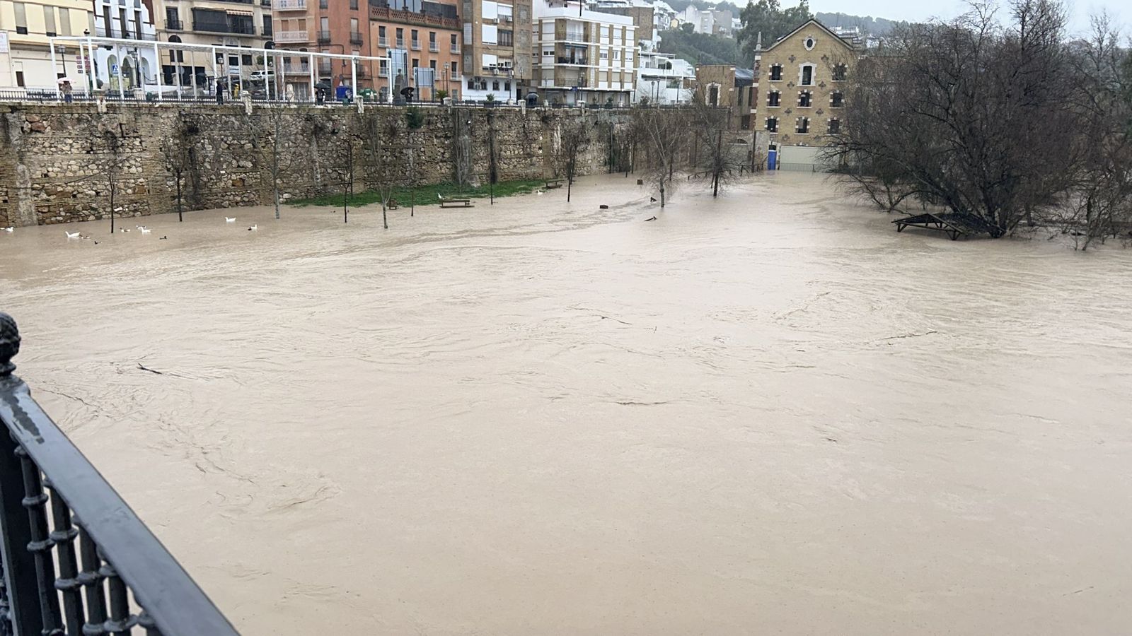 El río Genil, a su paso por Puente Genil.