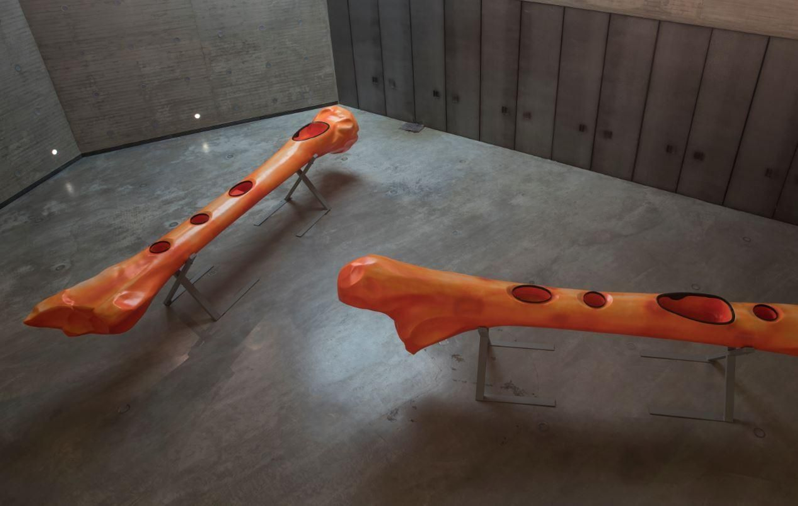 12 obras clave de 'Futuros Abundantes', la exposición de la Fundación Thyssen-Bornemisza en Córdoba