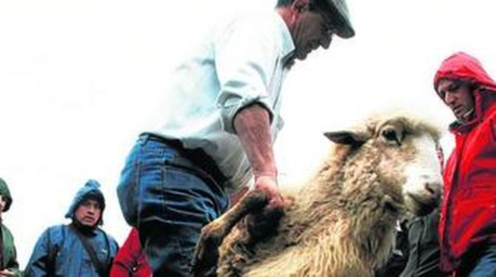 Un pastor de la Sierra, enseñando los manejos con el ganado a un grupo de alumnos venidos de distintas provincias, que integran la tercera edición de la Escuela de Pastores de Andalucía.