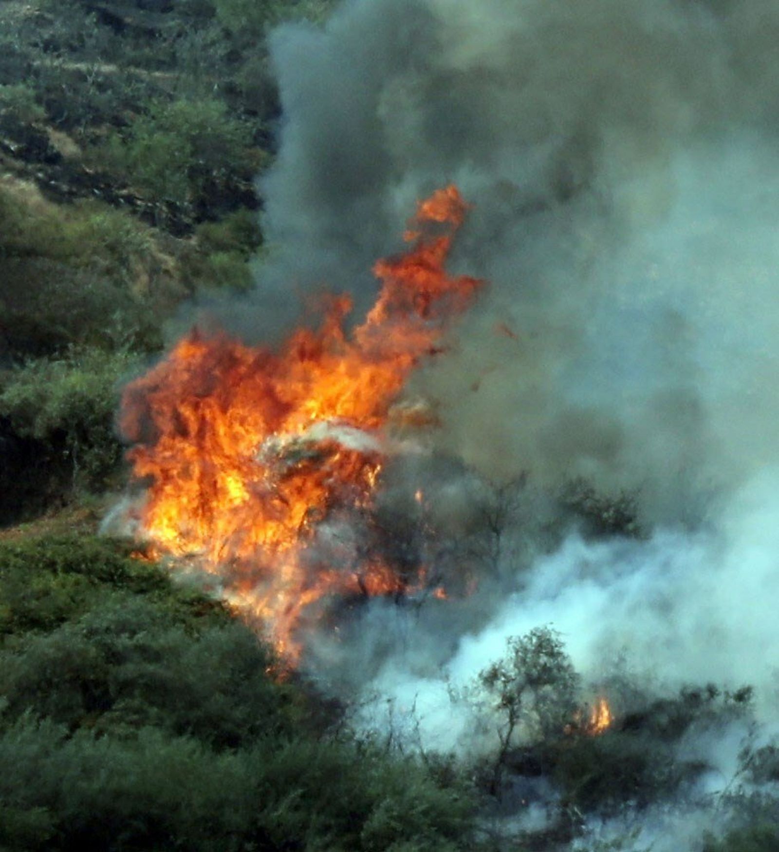 El incendio de Gran Canaria deja ya más de 6.000 hectáreas quemadas y 9.000 evacuados
