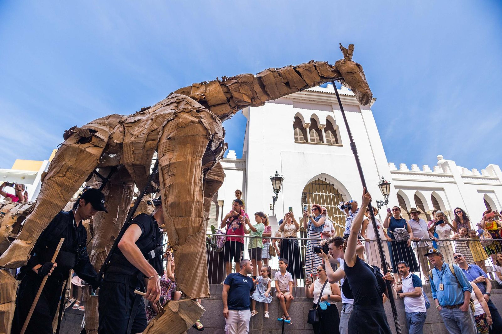 Las imágenes de 'La estampida' en San Fernando