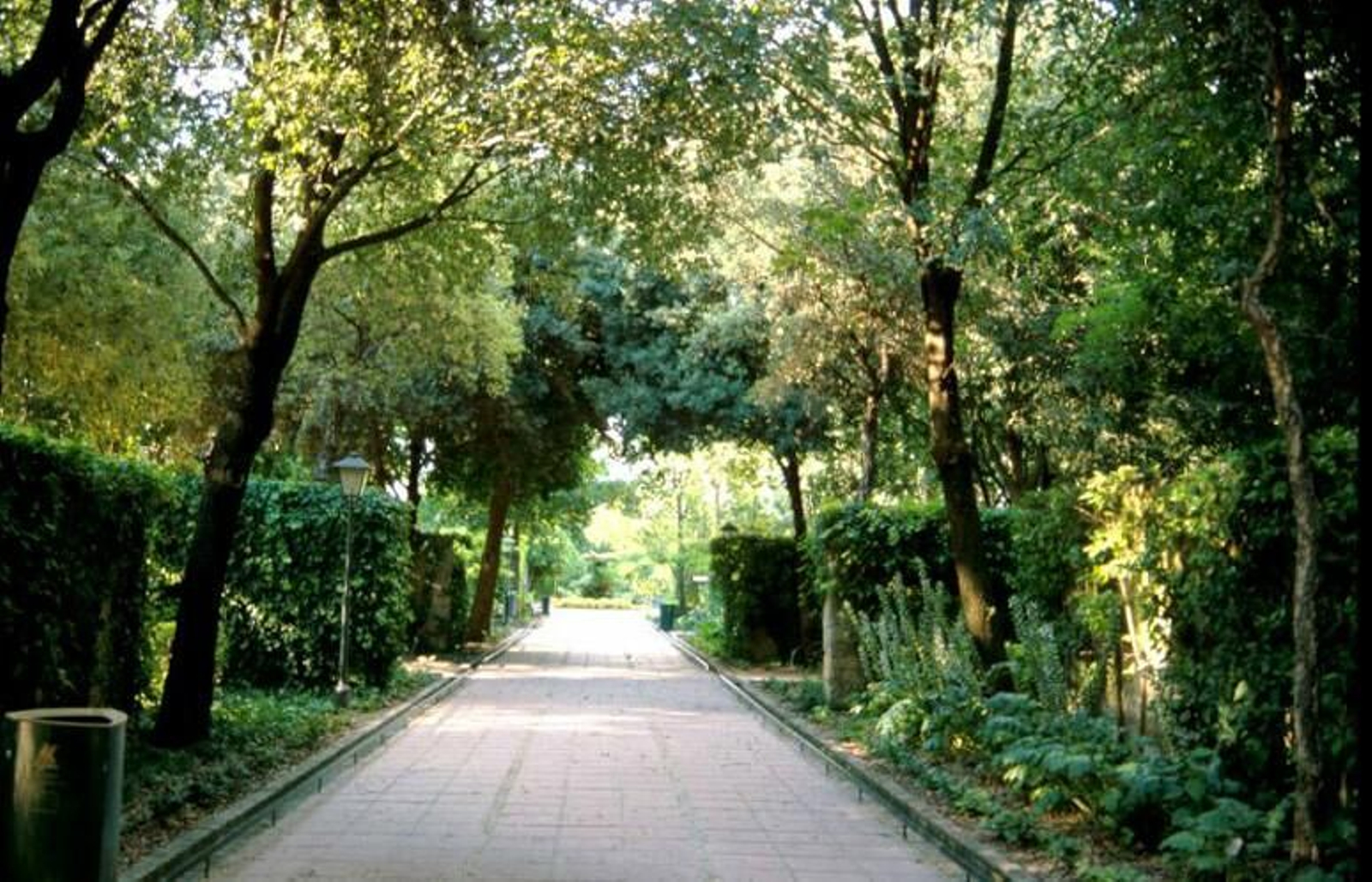 Una de las zonas del Imgema-Jardín Botánico.