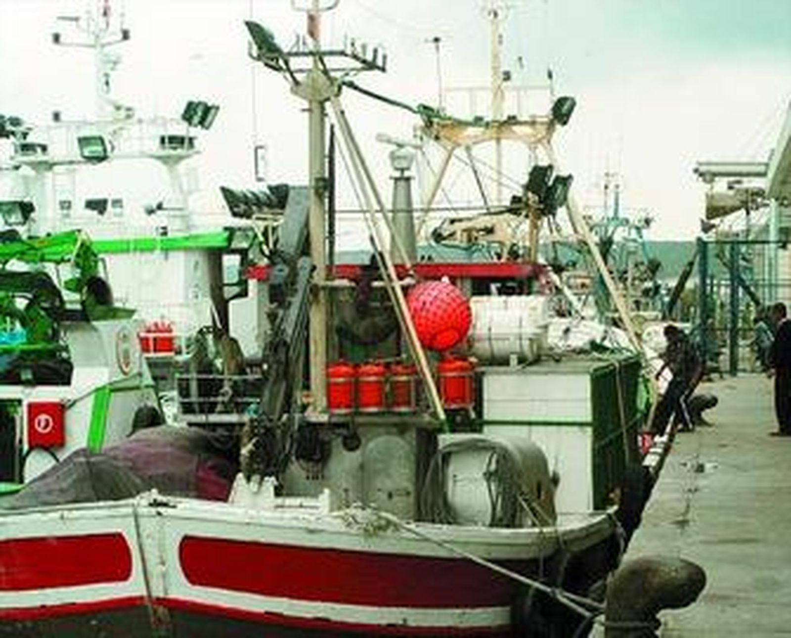 Barcos de la flota de Barbate, amarrados en el puerto.