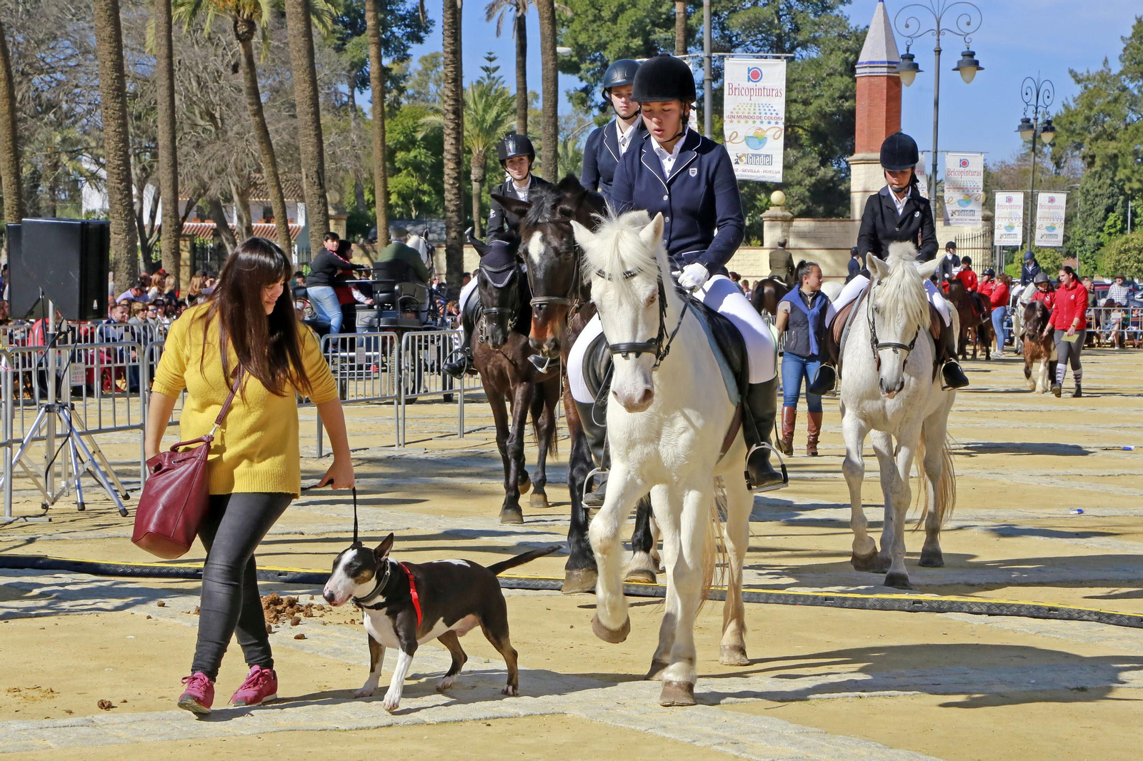 Imágenes de San Antón 2020 en Jerez