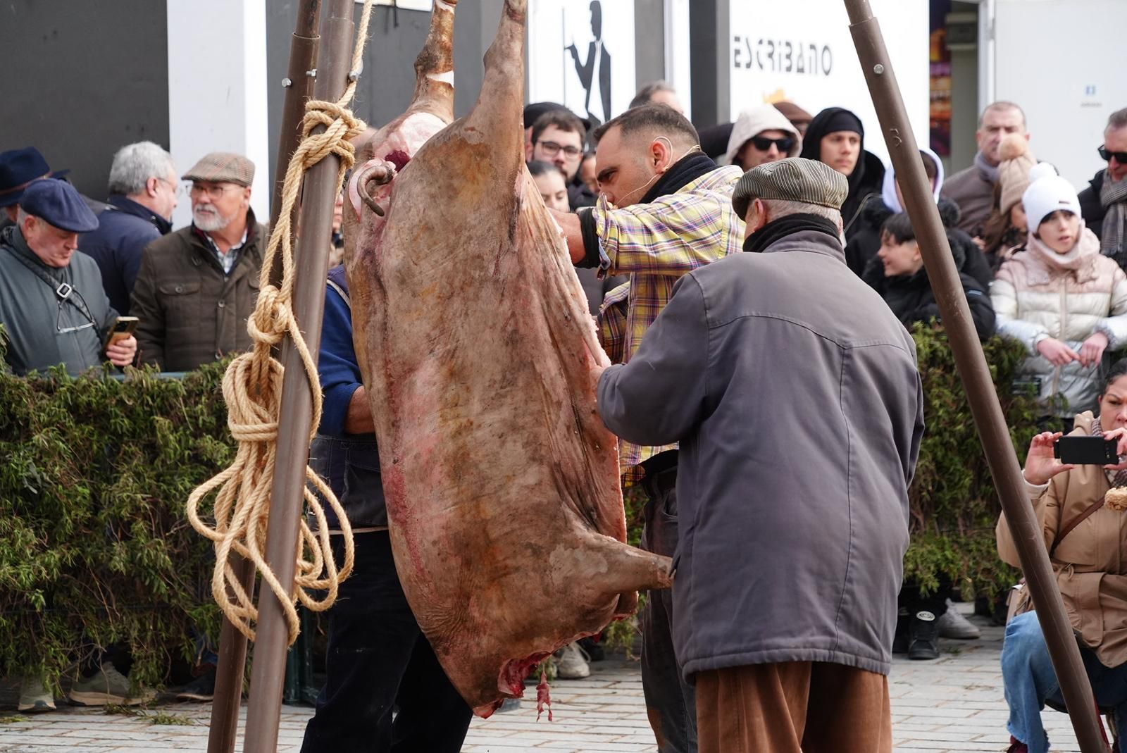 XX Fiesta de la Matanza de Alcaracejos