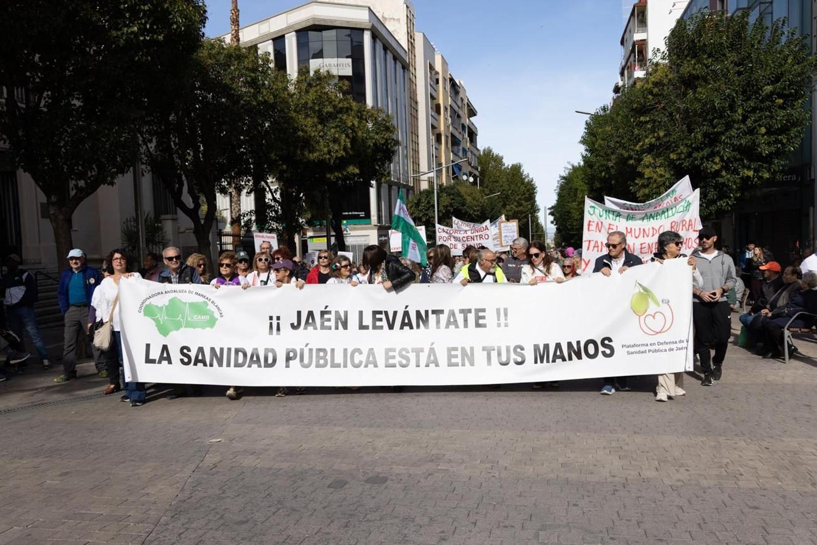 Manifestación "Sanidad cien por cien pública"