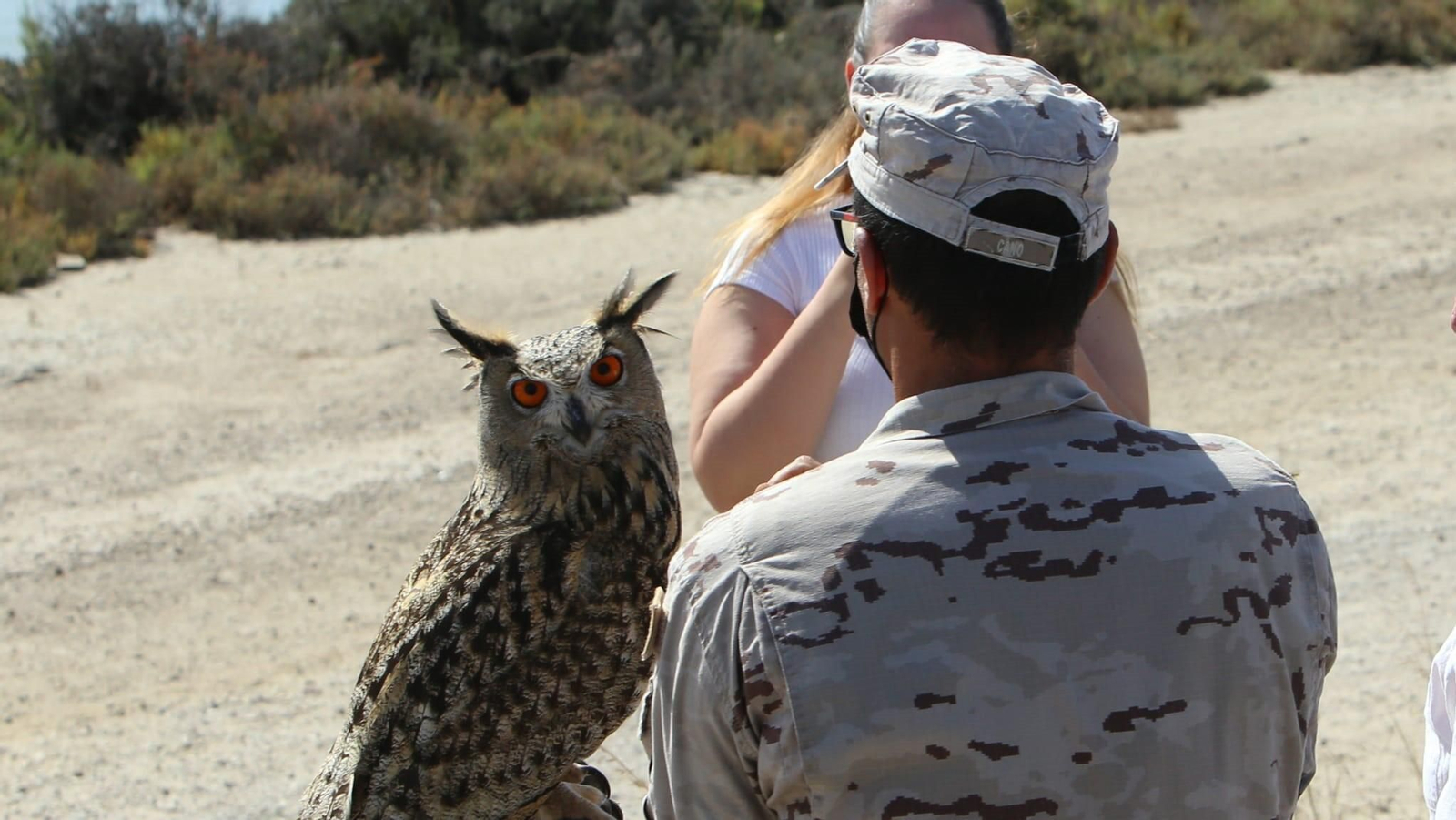 Así ha sido el espectacular retorno de la Fan Pin en San Fernando