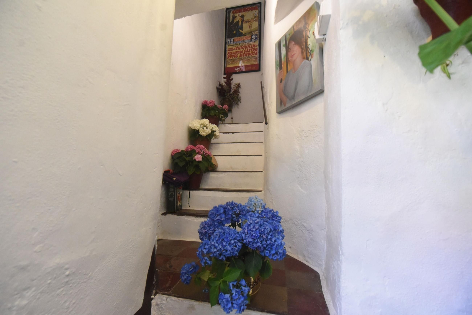 El último sábado de Patios de Córdoba en Alcázar Viejo, en imágenes