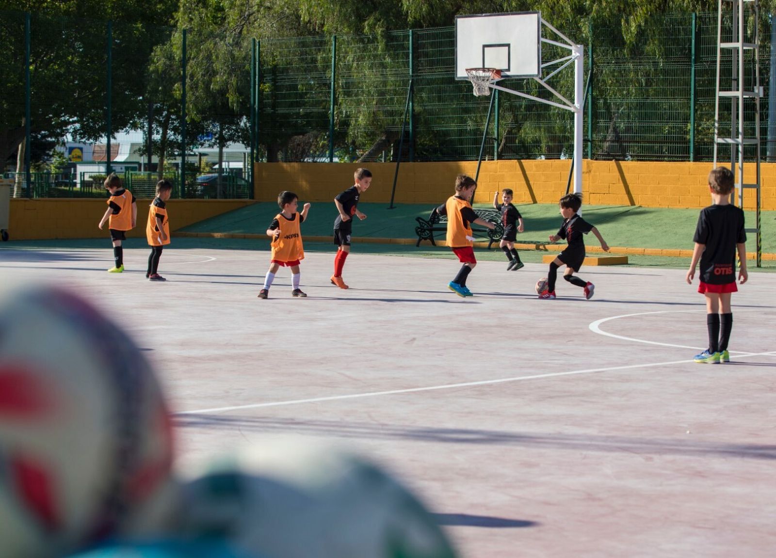 Instalaciones deportivas del Molino de la Vega ya son una realidad.