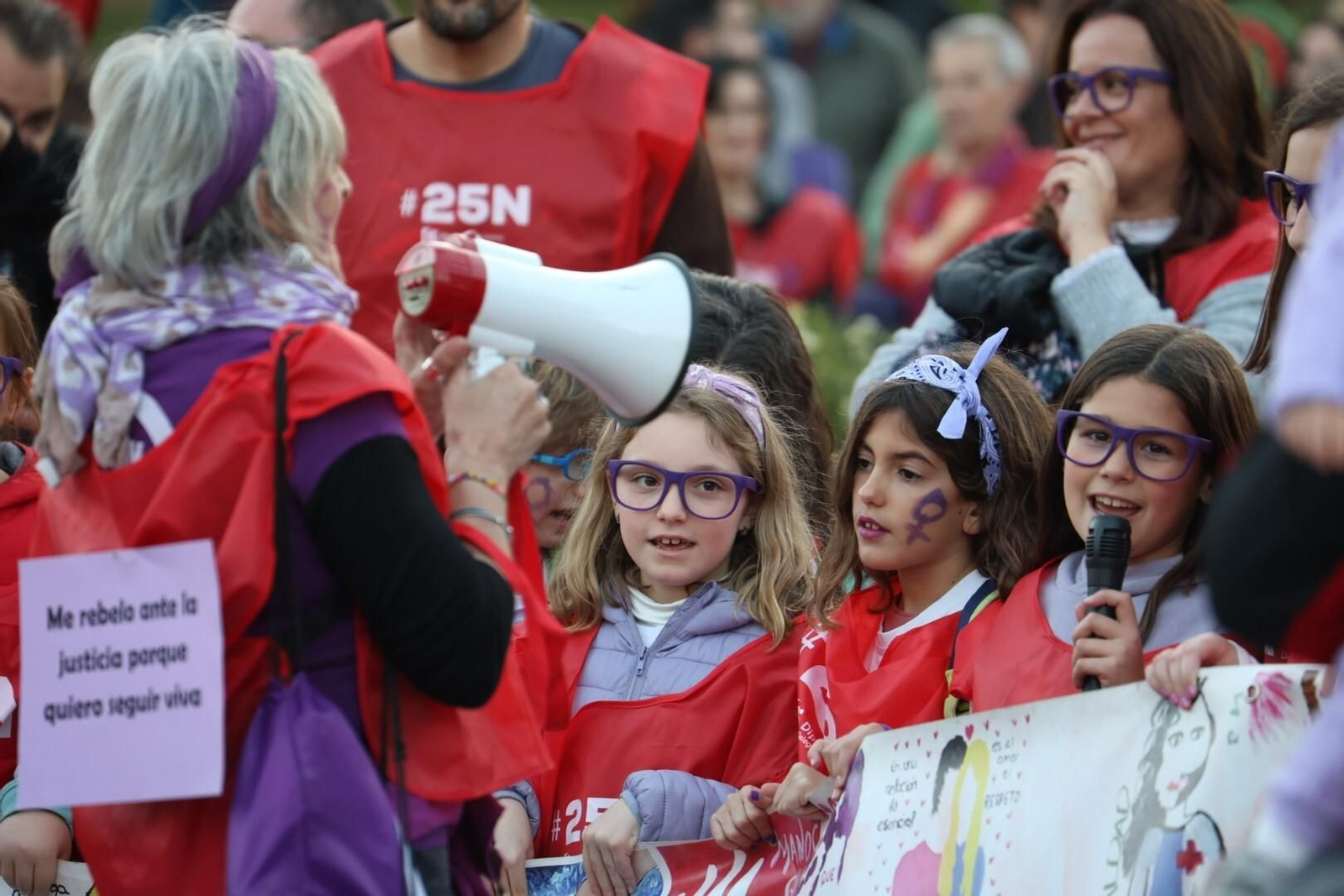 La manifestación del 25N en Córdoba, en imágenes