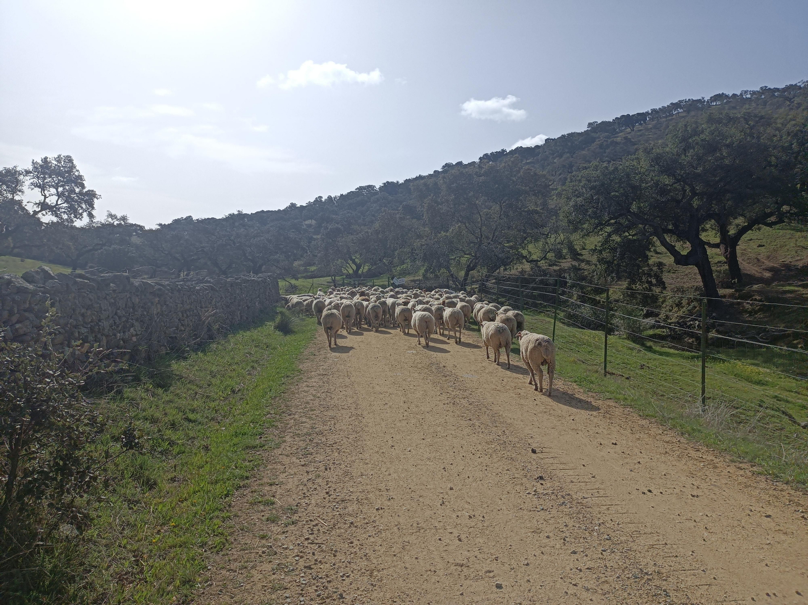 Fotos de la georruta de La Lobera