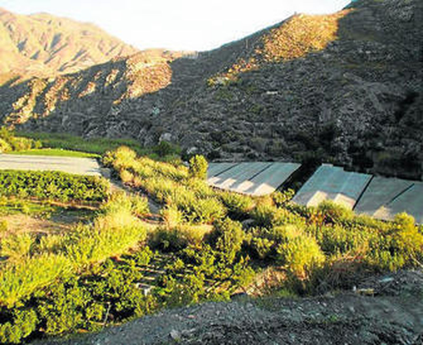 41 años después, el río continúa esperando una solución antirriadas