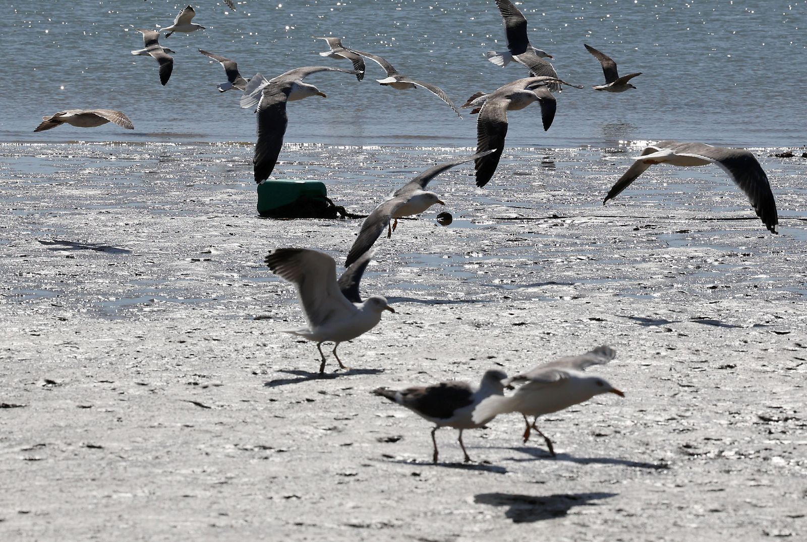 Las imágenes más destacadas del miércoles 28 de febrero en Huelva