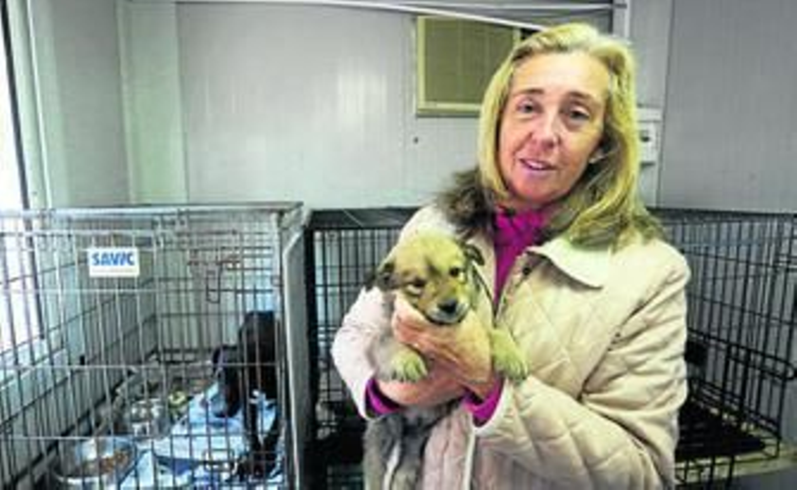 Carmen Manzano con uno de los cachorros acogidos en las instalaciones de la Protectora de Málaga.