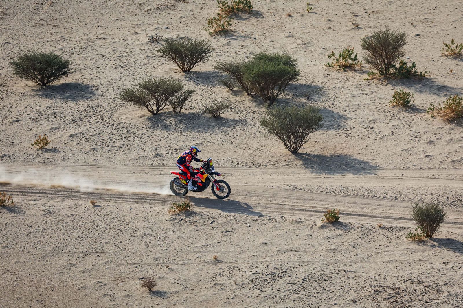 Las mejores fotos del Rally Dakar | undécima etapa