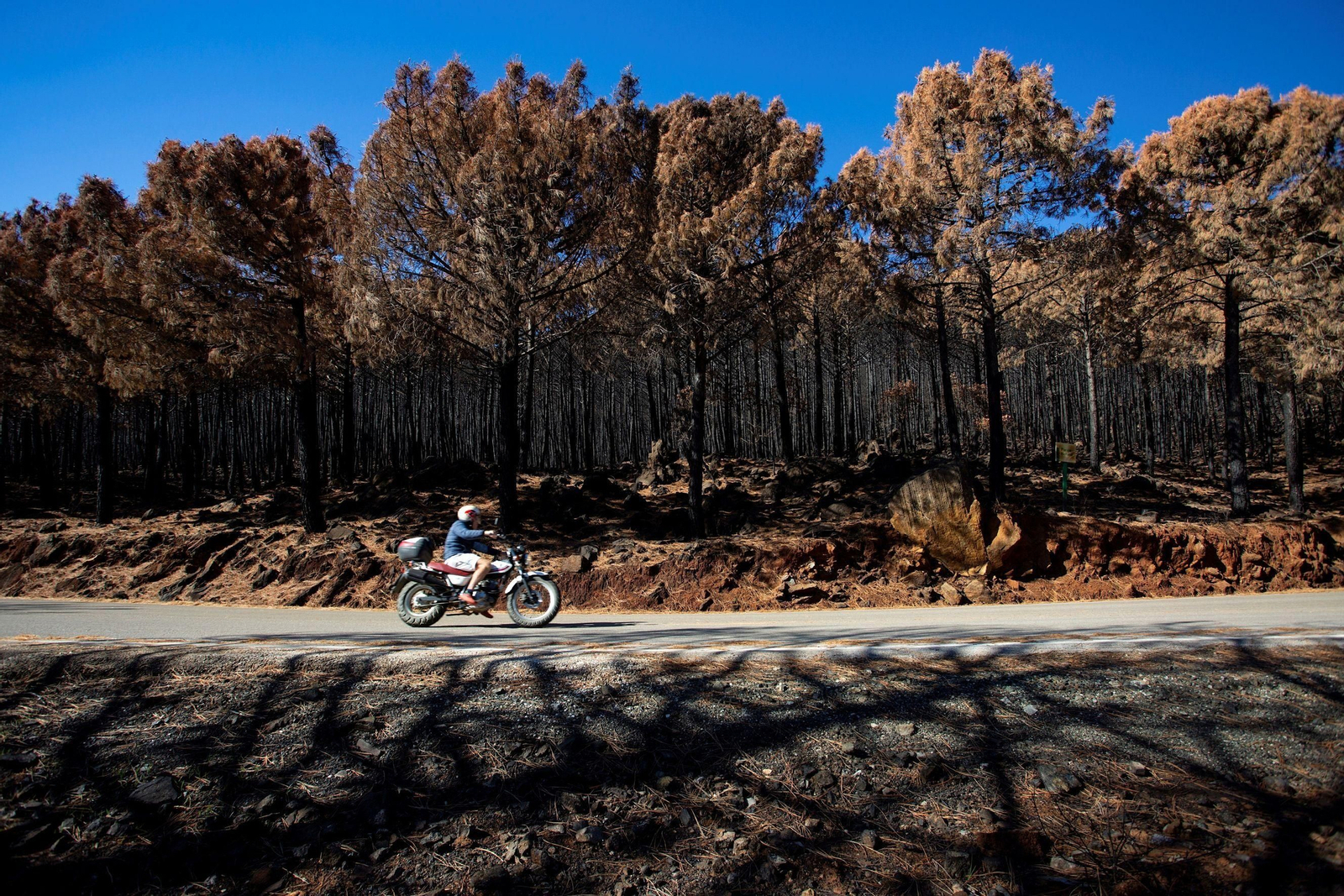Una imagen actual del estado de Sierra Bermeja.