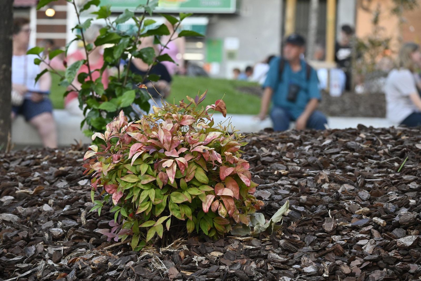 Inauguración de la Plaza de La Merced de Huelva en imágenes