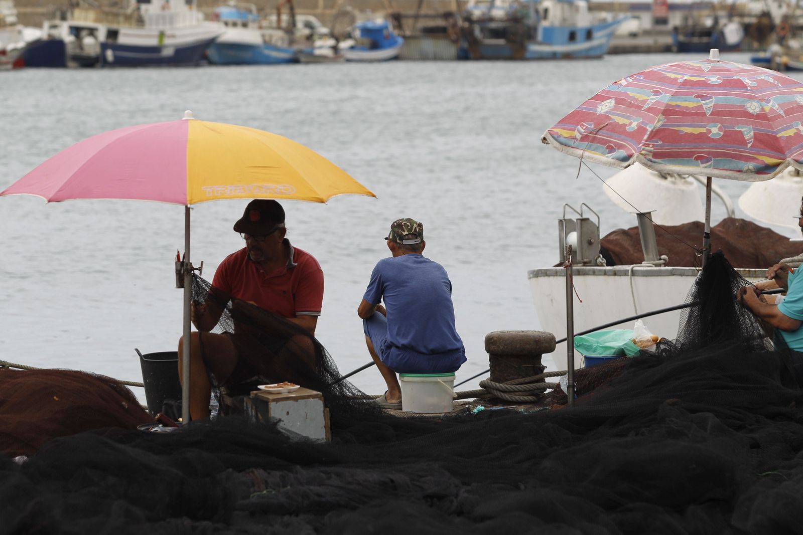 Fotogalería Jornada Puertas Abiertas Puerto Pesquero Almería