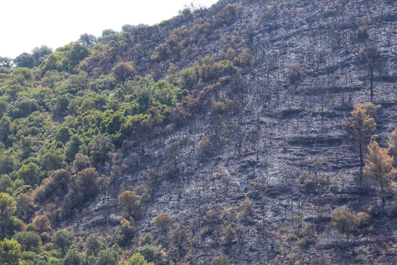 Las fotos de las zonas arrasadas por el incendio en la Sierra de Mijas