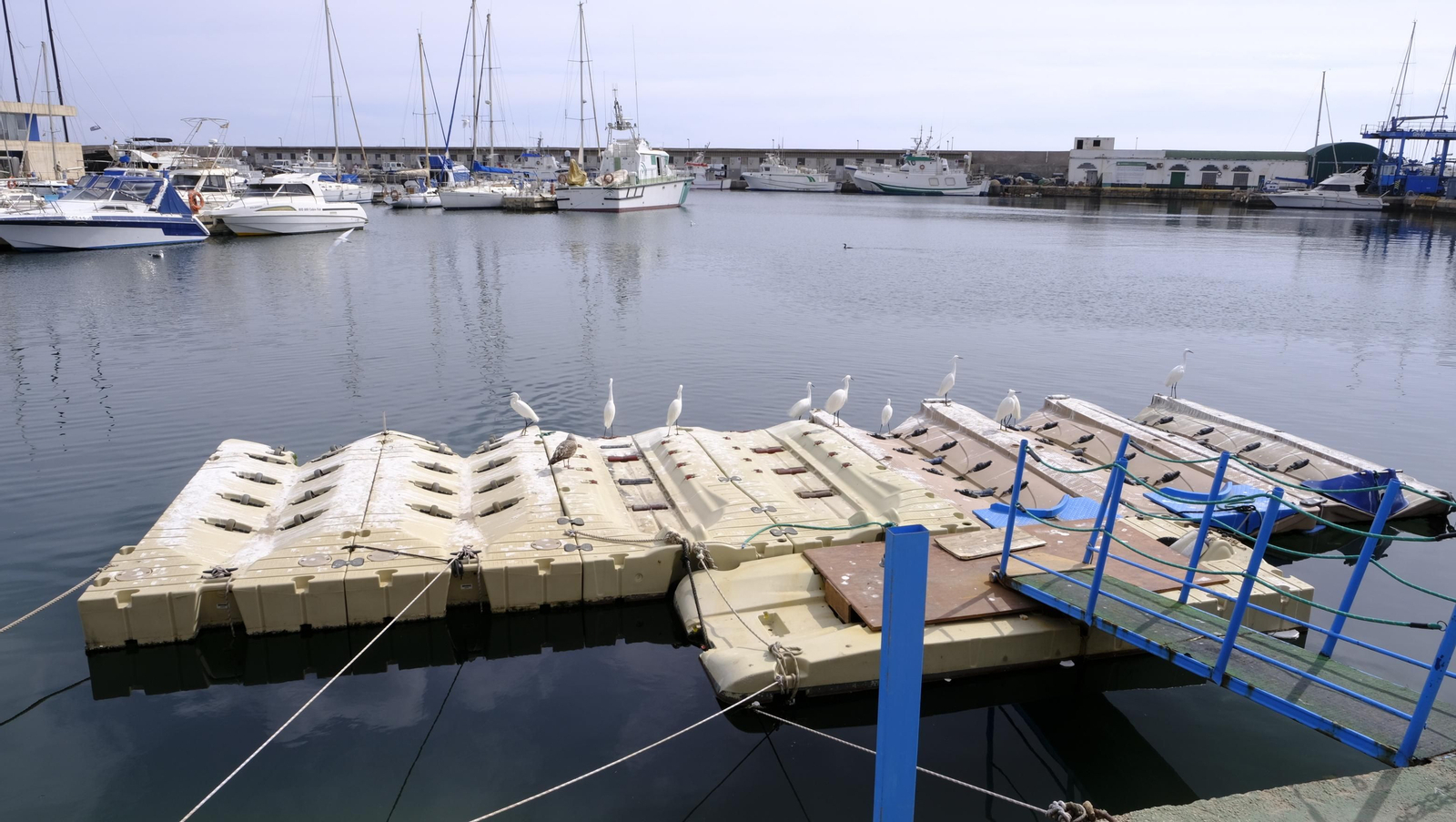 Imágenes de la inauguración de la Lonja del Puerto Pesquero de Roquetas de Mar