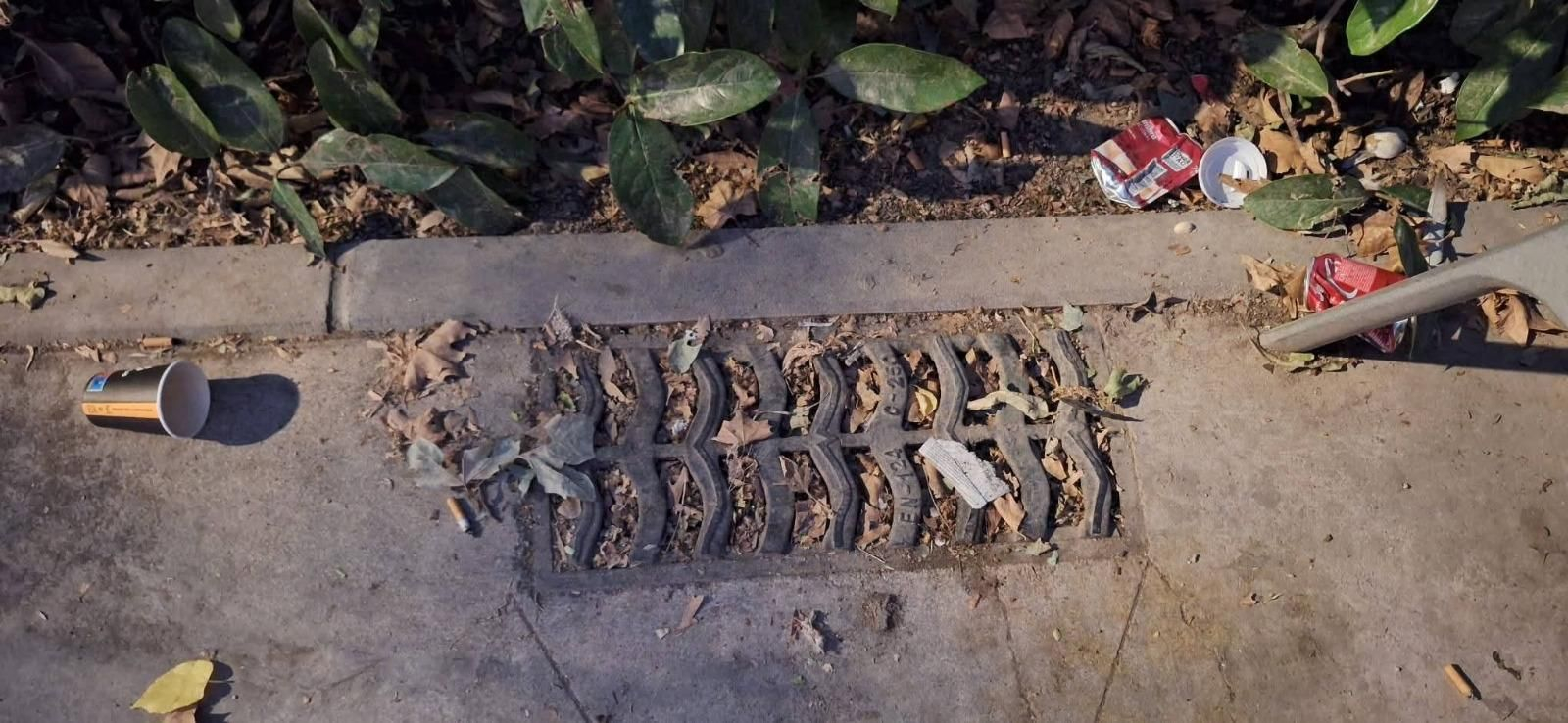 Imagen de un imbornal colapsado remitida por el Grupo Municipal de Vox