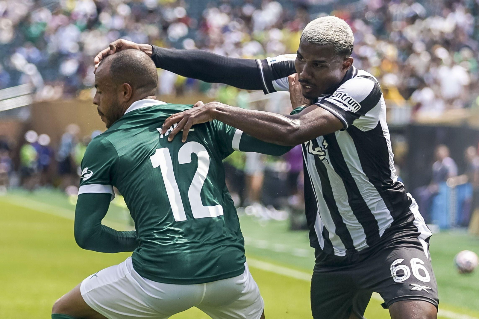 Palmeiras-Botafogo (33).jpg