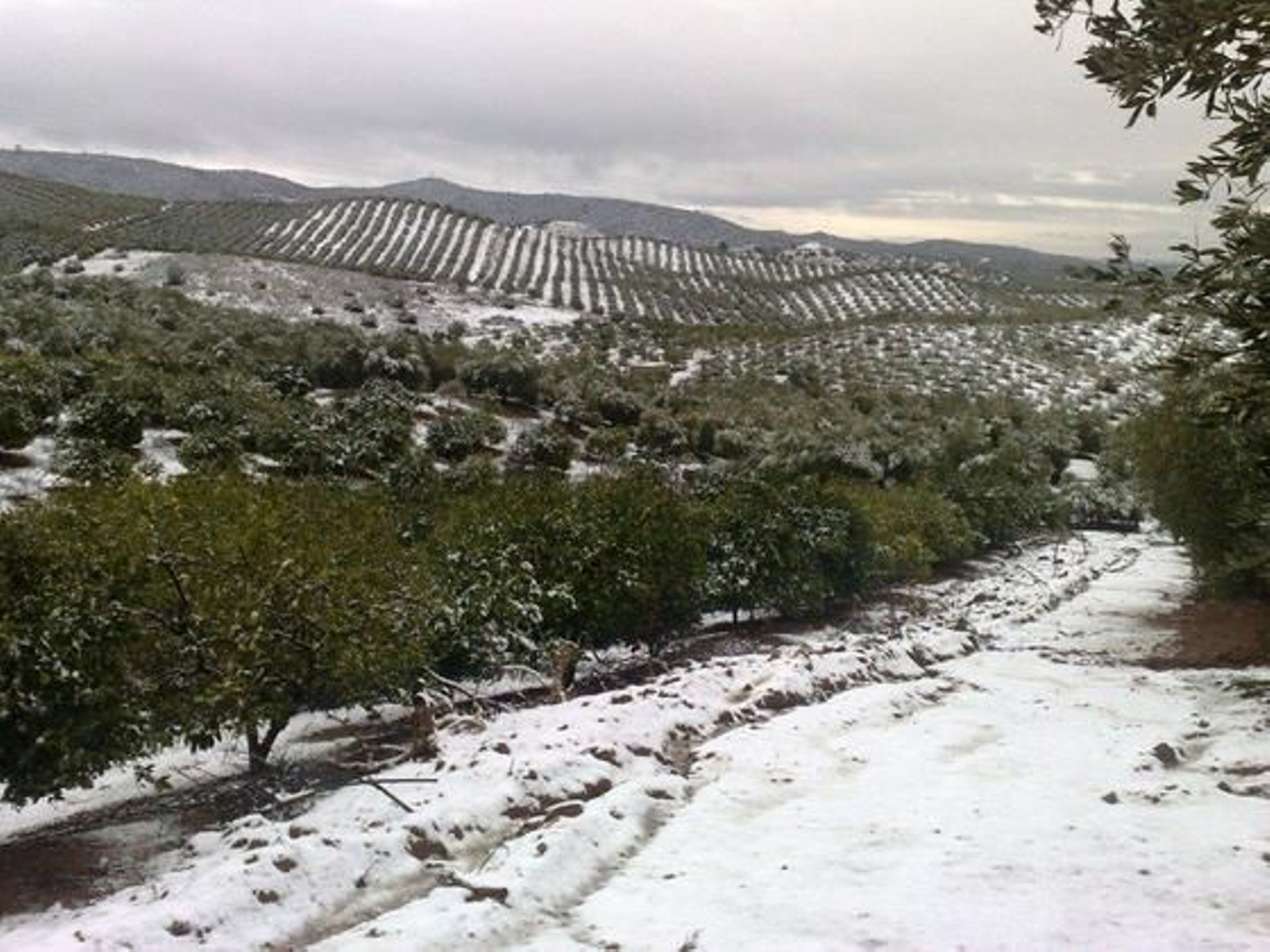 Nieve en Lora del Rio./ Luis Valverde Parrondo