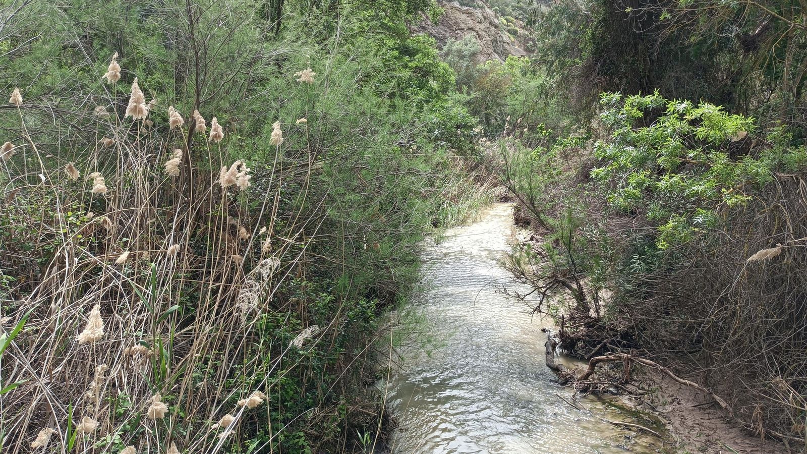 El Río Corbones, afluente del Guadalquivir