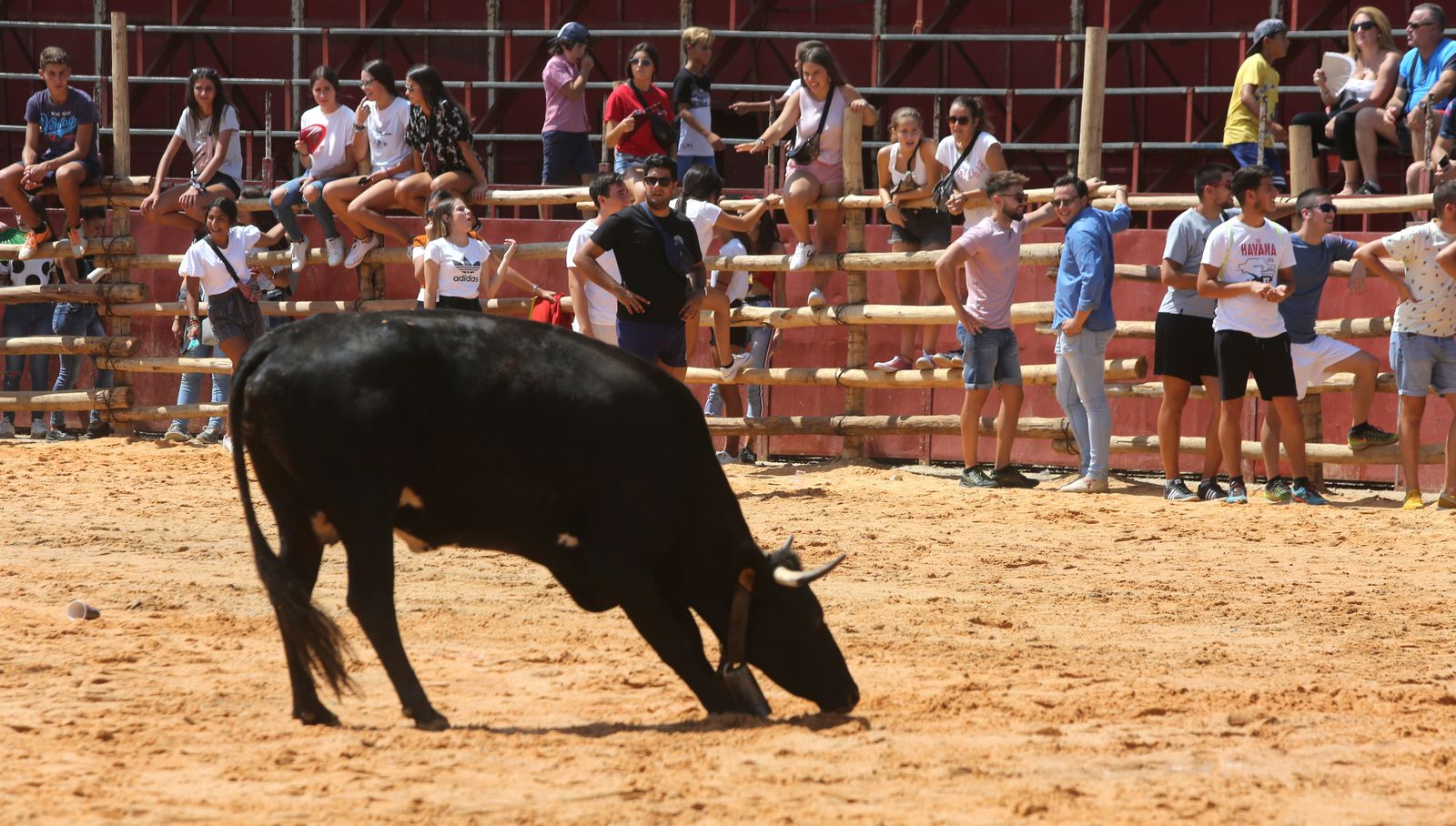 Capeas de Trigueros en imágenes